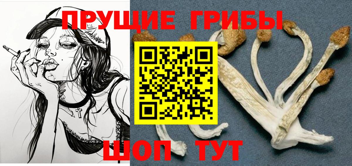 Галлюциногенные грибы Psilocybe Усть-Илимск